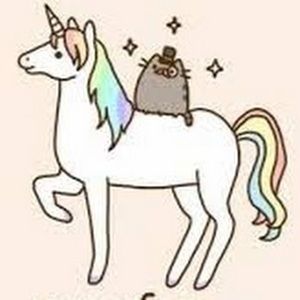 Meet your Posher, Aleena